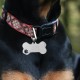 BUGUUYO Pack of 10 Dog Tags Blank Labels Metal Tags Blank Dog Tags for Engraving Personalised Dog Tags Dog Tag with Engraving for Pets Charm Small Silver BUGUUYO Pack of 10 Dog Tags Blank Labels Metal Tags Blank Dog Tags for Engraving Personalised Dog Tags Dog Tag with Engraving for Pets Charm Small Silver