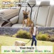 BWOGUE 2 Pcs Pet Dog Cat Seat Belt Headrest Seat Belt Adjustable Nylon Fabric BWOGUE 2 Pcs Pet Dog Cat Seat Belt Headrest Seat Belt Adjustable Nylon Fabric