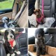BWOGUE 2 Pcs Pet Dog Cat Seat Belt Headrest Seat Belt Adjustable Nylon Fabric BWOGUE 2 Pcs Pet Dog Cat Seat Belt Headrest Seat Belt Adjustable Nylon Fabric
