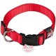 Basic 2240017501 Collar Nylon Basic 2240017501 Collar Nylon