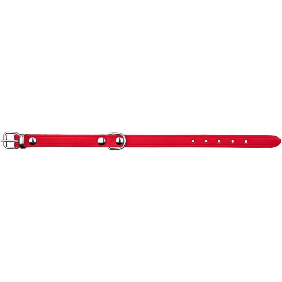 Basic collar, 28–34 cm/14 mm, red Basic collar, 28–34 cm/14 mm, red