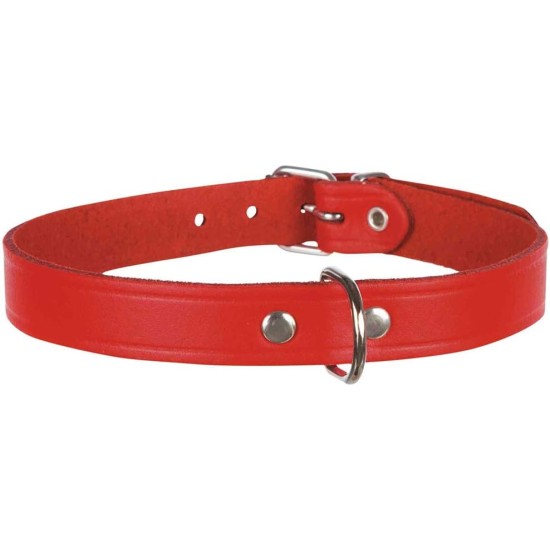 Basic collar, 47–57 cm/25 mm, black Basic collar, 47–57 cm/25 mm, black