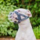 Baskerville INVISA Muzzle - Patented Dog-friendly Design, Dogs Can Pant/Drink, Adjustable, Padded, Muzzle for Small Dogs, Prevents Biting and Browsing (Size 2)