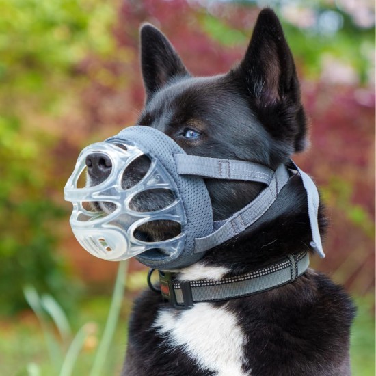Baskerville INVISA Muzzle - Patented Dog-friendly Design, Dogs Can Pant/Drink, Adjustable, Padded, Muzzle for Small Dogs, Prevents Biting and Browsing (Size 2) Baskerville INVISA Muzzle - Patented Dog-friendly Design, Dogs Can Pant/Drink, Adjustable, Padded, Muzzle for Small Dogs, Prevents Biting and Browsing (Size 2)