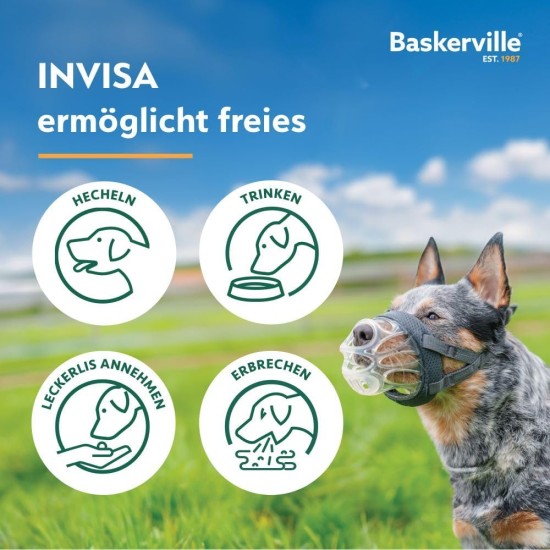 Baskerville INVISA Muzzle - Patented Dog-friendly Design, Dogs Can Pant/Drink, Adjustable, Padded, Muzzle for Small Dogs, Prevents Biting and Browsing (Size 2) Baskerville INVISA Muzzle - Patented Dog-friendly Design, Dogs Can Pant/Drink, Adjustable, Padded, Muzzle for Small Dogs, Prevents Biting and Browsing (Size 2)
