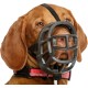 Baskerville Ultra Muzzle, black, size 5 Baskerville Ultra Muzzle, black, size 5
