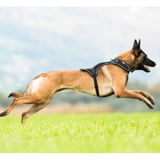 Belka Harness Black M Belka Harness Black M