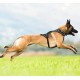 Belka Harness Black M Belka Harness Black M