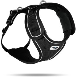 Belka Harness Black M