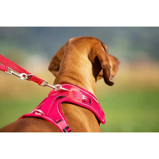 Belka Harness Red S Belka Harness Red S