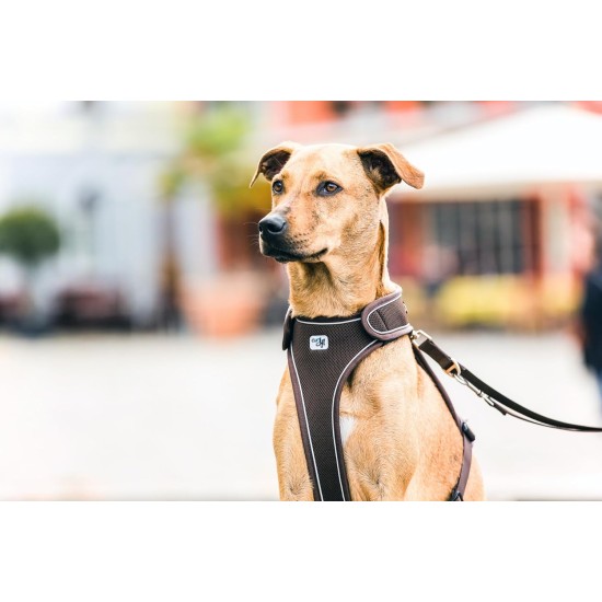 Belka Harness Red S Belka Harness Red S