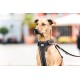 Belka Harness Red S Belka Harness Red S