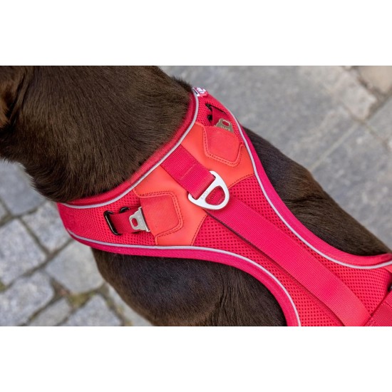 Belka Harness Red S Belka Harness Red S