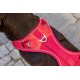 Belka Harness Red S Belka Harness Red S