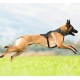 Belka Harness Red S Belka Harness Red S
