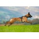 Belka Harness Red S Belka Harness Red S