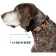 Buckle-Down AVA Marvel Comics Dog Collar, L - Fits 15-26" - 1.0" Wide