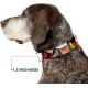 Buckle-Down AVA Marvel Comics Dog Collar, L - Fits 15-26" - 1.0" Wide