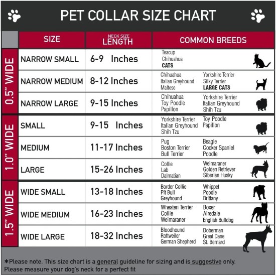 Buckle-Down Martingale Bd Tie Dye Dog Collar, 1.5 Inches Wide - Fits 13-18 Inches Neck - Small, Multicoloured Buckle-Down Martingale Bd Tie Dye Dog Collar, 1.5 Inches Wide - Fits 13-18 Inches Neck - Small, Multicoloured