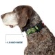 Buckle-Down Marvel Avengers Plastic Collar Band 4 Superhero Floats Close-Up 1" Wide Fits 15-26" Neck Large Buckle-Down Marvel Avengers Plastic Collar Band 4 Superhero Floats Close-Up 1" Wide Fits 15-26" Neck Large