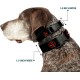 Buckle Down Marvel Universe Deadpool Logo Black/Red/White Plastic Clip Collar, Narrow Small/6-9