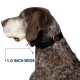 Buckle Down Marvel Universe Deadpool Logo Black/Red/White Plastic Clip Collar, Narrow Small/6-9