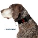 Buckle Down Marvel Universe Deadpool Logo Black/Red/White Plastic Clip Collar, Narrow Small/6-9