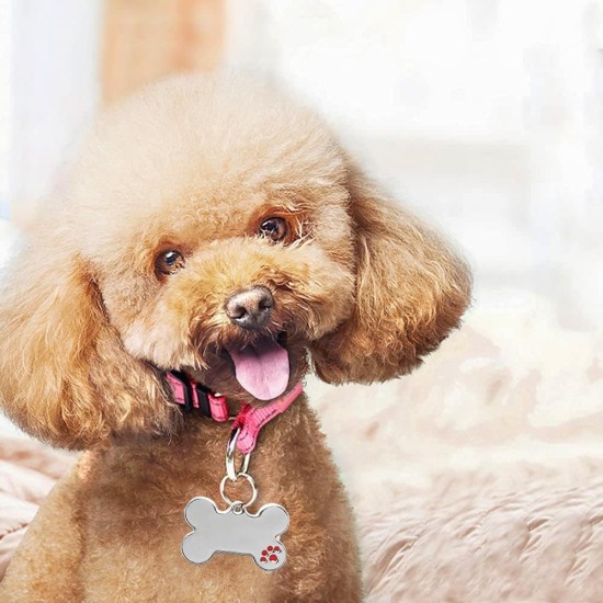 CENPEK 2 Blank Bone Shaped Pet ID Tags, Engraved Bone ID Tags for Dogs & Cats, DIY Personalized Pet Name Tags CENPEK 2 Blank Bone Shaped Pet ID Tags, Engraved Bone ID Tags for Dogs & Cats, DIY Personalized Pet Name Tags