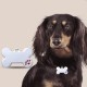 CENPEK 2 Blank Bone Shaped Pet ID Tags, Engraved Bone ID Tags for Dogs & Cats, DIY Personalized Pet Name Tags CENPEK 2 Blank Bone Shaped Pet ID Tags, Engraved Bone ID Tags for Dogs & Cats, DIY Personalized Pet Name Tags