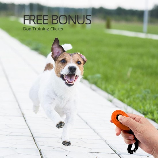 CFMOUR Retractable Dog Leash, 5M/50KG, Orange, Heavy Duty Extendable for Medium to Large Dogs; Strong Nylon Strap, One Button Brake and Latch, Bonus Training Clicker CFMOUR Retractable Dog Leash, 5M/50KG, Orange, Heavy Duty Extendable for Medium to Large Dogs; Strong Nylon Strap, One Button Brake and Latch, Bonus Training Clicker
