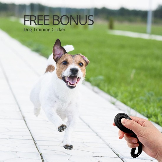 CFMOUR Retractable Dog Leash, 5M/50KG, Orange, Heavy Duty Extendable for Medium to Large Dogs; Strong Nylon Strap, One Button Brake and Latch, Bonus Training Clicker CFMOUR Retractable Dog Leash, 5M/50KG, Orange, Heavy Duty Extendable for Medium to Large Dogs; Strong Nylon Strap, One Button Brake and Latch, Bonus Training Clicker