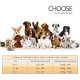CFMOUR Retractable Dog Leash, 5M/50KG, Orange, Heavy Duty Extendable for Medium to Large Dogs; Strong Nylon Strap, One Button Brake and Latch, Bonus Training Clicker CFMOUR Retractable Dog Leash, 5M/50KG, Orange, Heavy Duty Extendable for Medium to Large Dogs; Strong Nylon Strap, One Button Brake and Latch, Bonus Training Clicker