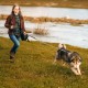CROWN PAWS 16ft Retractable Dog Leash for Large Dogs up to 110lbs with a Removable Chew Resistant Extension Wire Rope (Black)