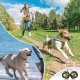 Cat Bell, Set of 4 Pet Bells Pet Tracker Bell Dog Bell Loud Dog Bells Cat Bells Collar Bells for Dog Cat Harness Cat Bell, Set of 4 Pet Bells Pet Tracker Bell Dog Bell Loud Dog Bells Cat Bells Collar Bells for Dog Cat Harness