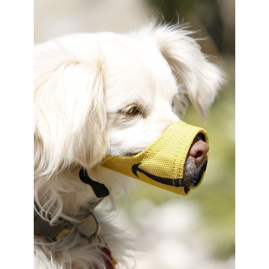 Cesar Millan Funny Muzzle for the Dog Whisperer Cesar Millan. Cesar Millan Funny Muzzle for the Dog Whisperer Cesar Millan.