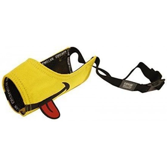 Cesar Millan Funny Muzzle for the Dog Whisperer Cesar Millan. Cesar Millan Funny Muzzle for the Dog Whisperer Cesar Millan.