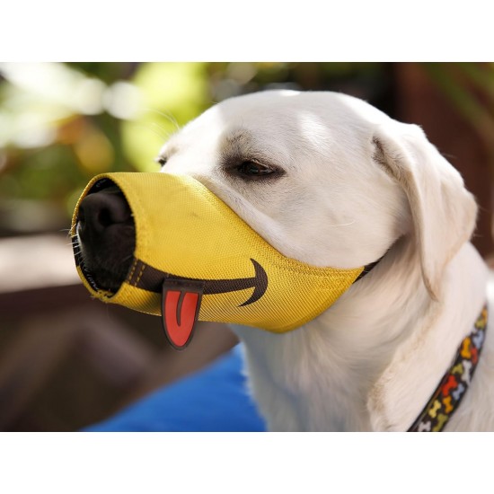 Cesar Millan Funny Muzzle for the Dog Whisperer Cesar Millan. Cesar Millan Funny Muzzle for the Dog Whisperer Cesar Millan.