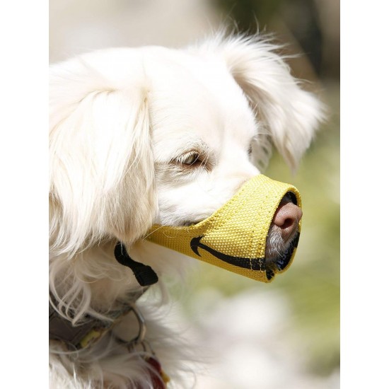 Cesar Millan Funny Muzzle for the Dog Whisperer Cesar Millan. Cesar Millan Funny Muzzle for the Dog Whisperer Cesar Millan.