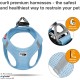Classic Vest Harness Air Mesh with curli D-Ring Buckle, Black, L Classic Vest Harness Air Mesh with curli D-Ring Buckle, Black, L