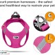 Classic Vest Harness Air Mesh with curli D-Ring Buckle, Black, L Classic Vest Harness Air Mesh with curli D-Ring Buckle, Black, L