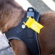 Classic Vest Harness Air Mesh with curli D-Ring Buckle, Black, L Classic Vest Harness Air Mesh with curli D-Ring Buckle, Black, L