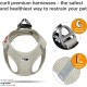 Classic Vest Harness Air Mesh with curli D-Ring Buckle, Black, L Classic Vest Harness Air Mesh with curli D-Ring Buckle, Black, L