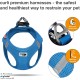 Classic Vest Harness Air Mesh with curli D-Ring Buckle, Black, L Classic Vest Harness Air Mesh with curli D-Ring Buckle, Black, L