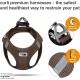 Classic Vest Harness Air Mesh with curli D-Ring Buckle, Black, L Classic Vest Harness Air Mesh with curli D-Ring Buckle, Black, L