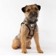 Classic Vest Harness Air Mesh with curli D-Ring Buckle, Black, L Classic Vest Harness Air Mesh with curli D-Ring Buckle, Black, L