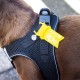 Classic Vest Harness Air Mesh with curli D-Ring Buckle, Black, L Classic Vest Harness Air Mesh with curli D-Ring Buckle, Black, L