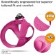 Classic Vest Harness Air Mesh with curli D-Ring Buckle, Fuchsia, S Classic Vest Harness Air Mesh with curli D-Ring Buckle, Fuchsia, S