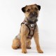 Classic Vest Harness Air Mesh with curli D-Ring Buckle, Fuchsia, S Classic Vest Harness Air Mesh with curli D-Ring Buckle, Fuchsia, S