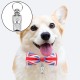 Collar Small Dog Tag, Pack of 10 Pet ID Tags, ID Tag Dog Tag, Pet ID Address Tag, Pet Pill Box, Waterproof Brass with Address Name Tag, for Dogs, Cats, Puppies (Silver) Collar Small Dog Tag, Pack of 10 Pet ID Tags, ID Tag Dog Tag, Pet ID Address Tag, Pet Pill Box, Waterproof Brass with Address Name Tag, for Dogs, Cats, Puppies (Silver)