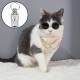 Collar Small Dog Tag, Pack of 10 Pet ID Tags, ID Tag Dog Tag, Pet ID Address Tag, Pet Pill Box, Waterproof Brass with Address Name Tag, for Dogs, Cats, Puppies (Silver) Collar Small Dog Tag, Pack of 10 Pet ID Tags, ID Tag Dog Tag, Pet ID Address Tag, Pet Pill Box, Waterproof Brass with Address Name Tag, for Dogs, Cats, Puppies (Silver)